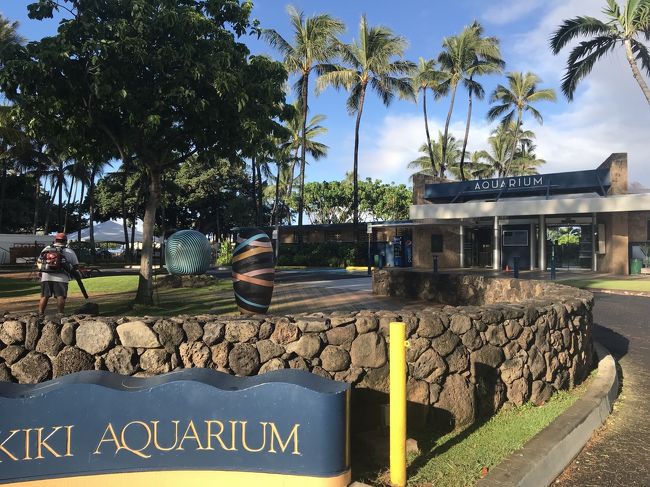 おっこれは水族館的な？