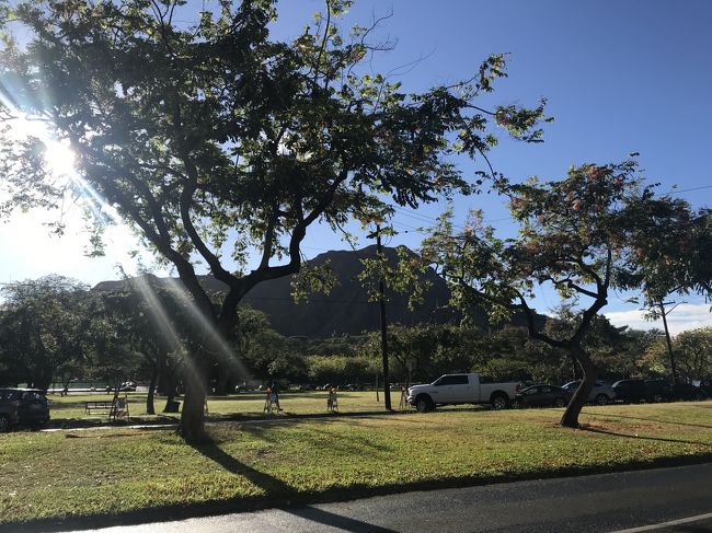 北海道でななかなかない<br />日差しのパワー！元気が出ます。