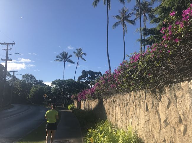 まだ４０歳の足もなんとか<br />動きそうなので、進んでみることに。<br /><br />それにしてもランニングしてる人多い。