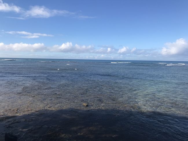 ずっと見てられます。