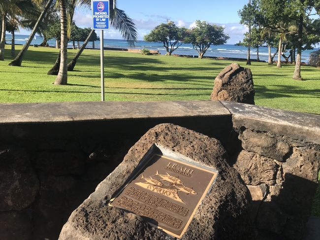 レアヒビーチパーク<br />犬と一緒にストレッチする人、<br />のんびりしてる人、<br />皆さん、色々自由に過ごしています。