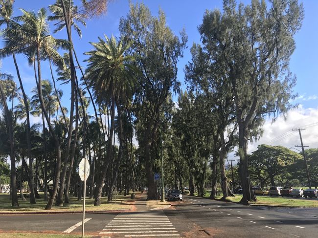 ほっ。<br />だいぶ戻ってきました！