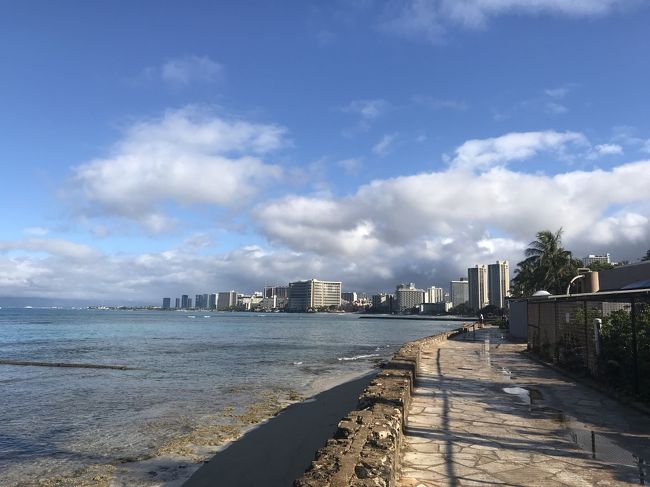 今日はいい天気になりました！