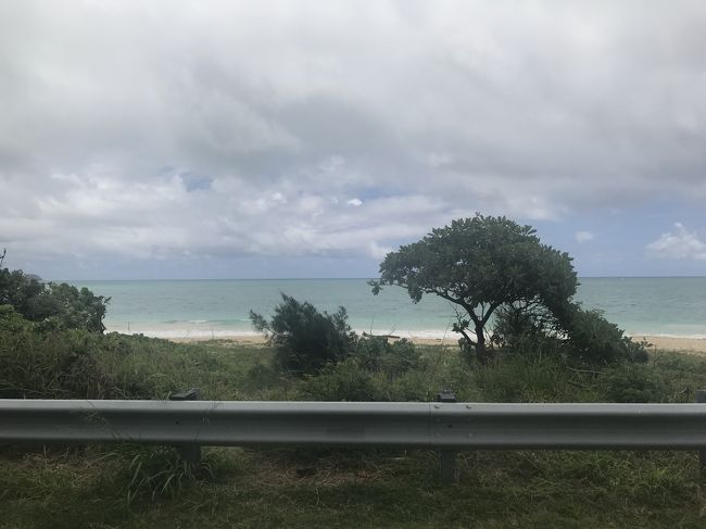 ぐいぐい行きます。<br />途中、写真は撮りそびれましたが<br />ショピングモールもあり、日本人観光客も<br />ちらほら。皆さん結構レンタカーで<br />楽しんでいる！<br /><br />そうこうしているうちに<br />カイルア方面へ。