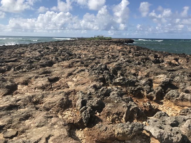 ちょっと岩場を探検。<br />ビーチサンダルなので恐る恐る。<br /><br />途中で裸足で転んで動けなくなってる<br />外国人男性がいた。ここで裸足は無謀～。