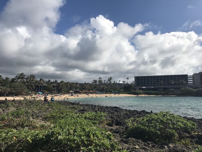 だいぶ進みました。