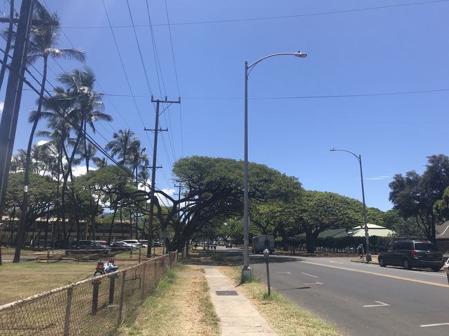 ホテルに帰るとゴロっと休憩して<br />しまうので、そのままカパフル通りを<br />ずんずん歩きます。<br /><br />ひとまずのゴールは、ワイオラシェイブアイスです！<br />