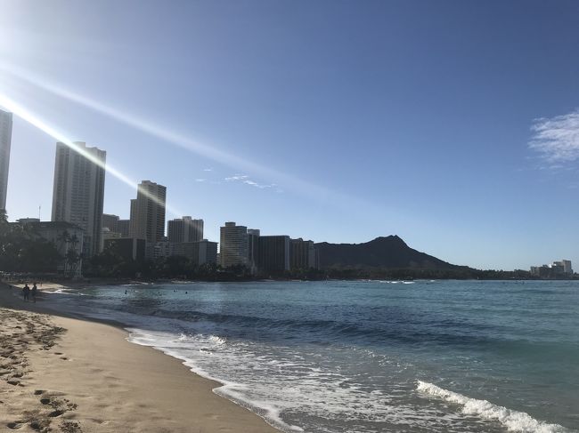 日がだんだん高くなってきました。