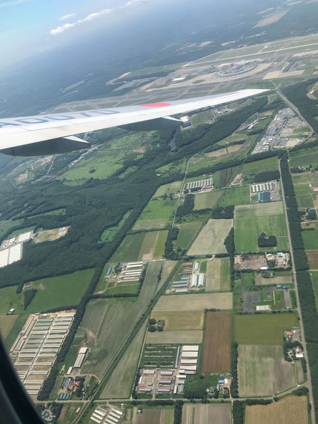 羊蹄山とラべンダー香る富良野の旅 その2 富良野 北海道 の旅行記 ブログ By Shebaさん フォートラベル