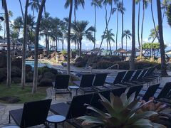 2日目スタートです。
ハワイの朝は、とても清々しいですね。
