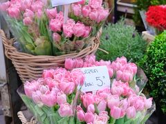 すでにチューリップの時期は過ぎていましたが、花市場にはチューリップの花束がたくさん、とてもお安く販売されていました。