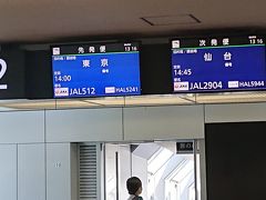 空港近くのいつものパーキングに愛車を預け、新千歳空港へ向かいます。
ワイホーさんでレンタルwifiを借りるので、国際線ターミナルで下車します。
国内線ターミナルへ移動し、国際線乗り継ぎのカウンターで搭乗手続き。
時間もあるのでフードコートで昼食を取り、カードラウンジで小休憩とレンタルwifiのセッティングをしました。
まずは14：00発の羽田行きに搭乗します。