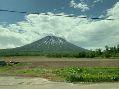 回り込んだところで、羊蹄山のなかなかのお姿を拝見