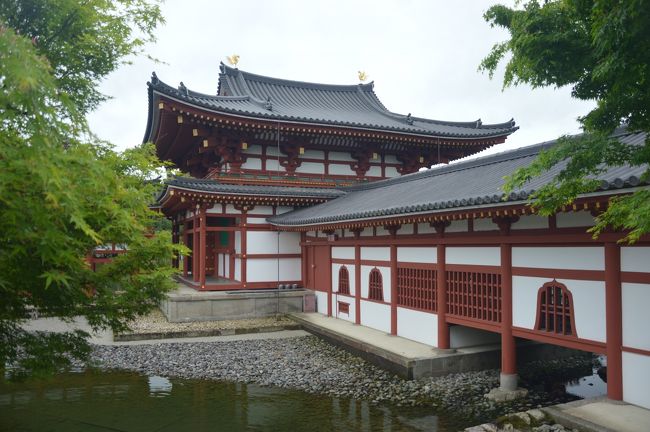 2019GW10連休前半は姫路城・平等院鳳凰堂ピンポイント関西タビ