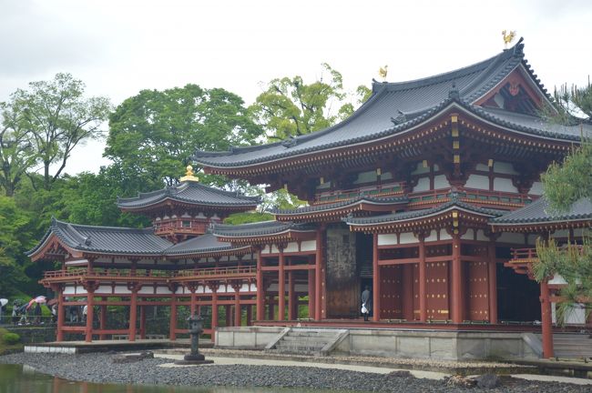 2019GW10連休前半は姫路城・平等院鳳凰堂ピンポイント関西タビ