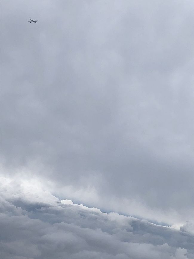 上空には、他の飛行機も旋回中です。