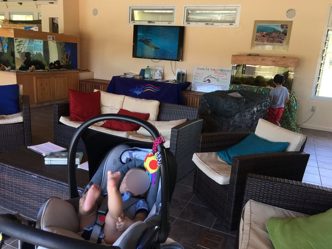 ドルフィンクエスト待合室。