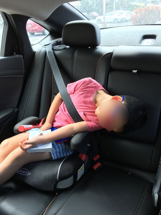 帰りはモールの中のレストランでそれぞれ好きなものをテイクアウトして、設置されていたテーブルで食べました。夫の具合がやはり夜になり悪化して写真や記憶がない(笑)。<br /><br />疲れ切った子供達は帰りの車で爆睡。