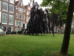 5月25日：アムステルダム　ベギン会修道院の庭

僕らにとっては２度目のアムステルダム、クルーズ会社の好意で日本人[合計１２名]のための日本語のガイドと専用バスを用意してくれており、アムステルダムのみではあったが英語に苦労することも、迷路の中を迷うこともなく生の説明を聞くことができた。

ベギン会修道院の中庭
アムステルダムの街中とは思えない、静かで優しい庭の中を歩く。
厳格な規律はなく、独身の女性で静穏な方ならば入居させてもらえそうだ。

＜・・・・＞夫の言葉
≪・・・・≫妻の言葉
（・・・・）二人以外の方々の言葉