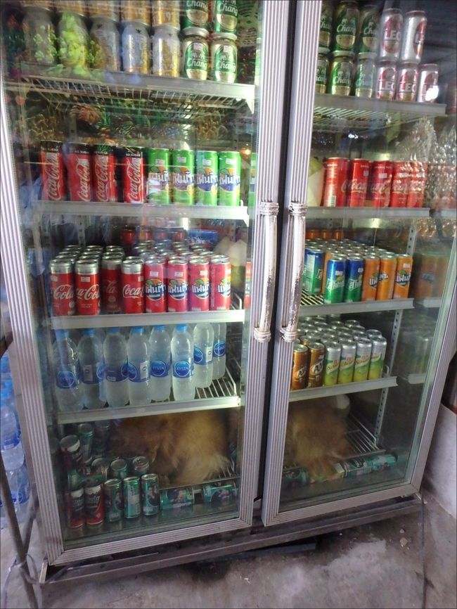 その近くにあった冷蔵庫の中をふと見たら・・