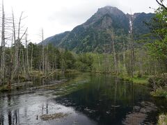 岳沢湿原
　立ち枯れの木が多くていい雰囲気です。
田代池同様に水深が浅いですが中には立ち入れないので、この展望スペースからのみ眺めます。