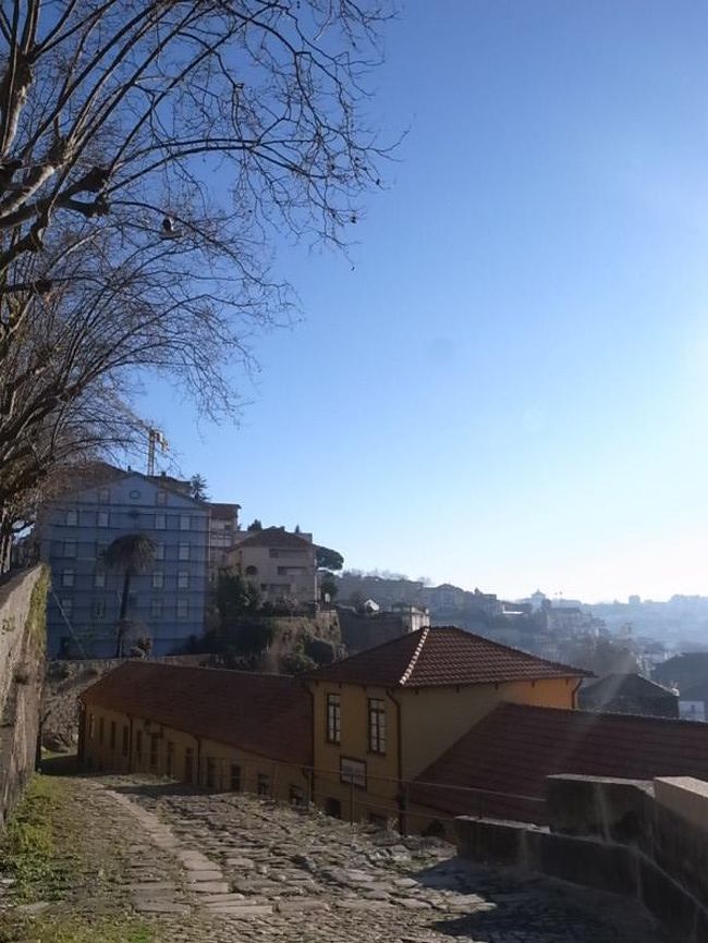 ポルトは坂が多くて<br />上がったり下がったり<br />結構たいへん