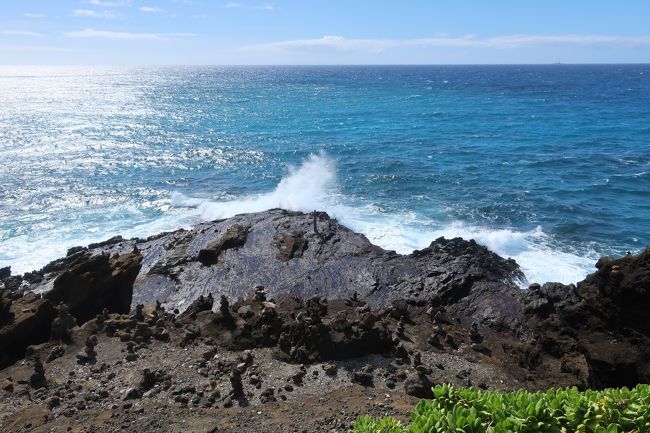 ここ、なぜか石がたくさん積んである。