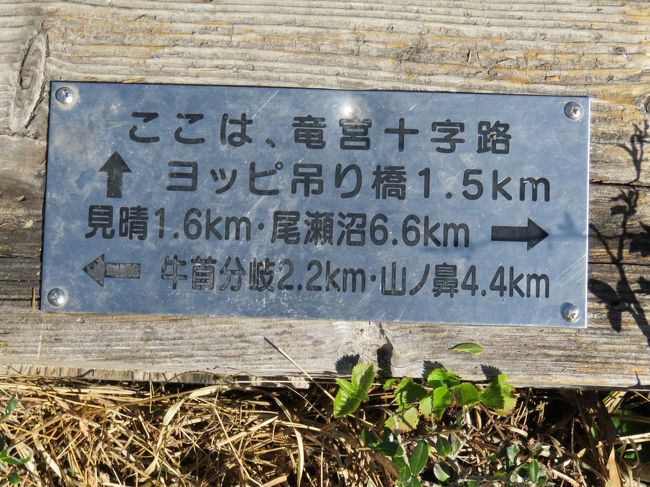 尾瀬日帰りハイキング 19年6月 武尊 尾瀬 片品 群馬県 の旅行記 ブログ By コットングラスさん フォートラベル
