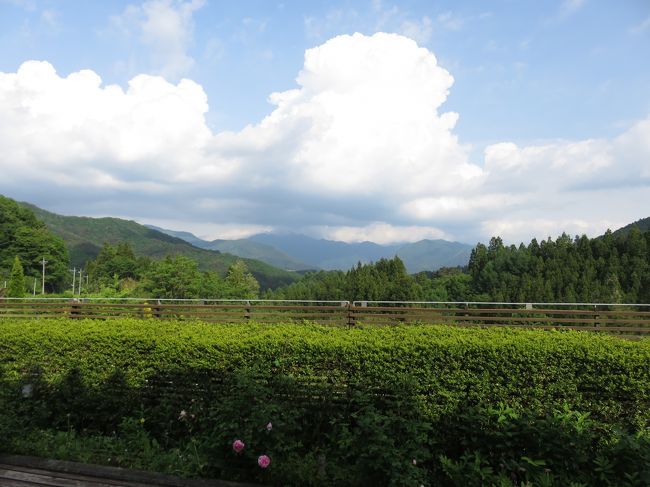 尾瀬日帰りハイキング 19年6月 武尊 尾瀬 片品 群馬県 の旅行記 ブログ By コットングラスさん フォートラベル