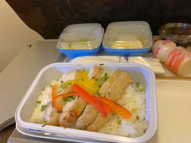 いよいよ帰国です。今まで3便全て定刻より早い出発でしたが、最後の最後で30分程送れての離陸。<br /><br />夕飯も食べていたので飛行機ではすぐ爆睡してしまい軽食が食べられなかった…飛行機の機内食、まずいって言う方も多いですが、私はいつも楽しみにしているので食べそこねたのは残念でした。<br /><br />写真は機内食の朝食です。<br /><br />帰りの飛行機は気流の関係でめちゃくちゃ揺れました。まあほとんど寝てたんですが。<br /><br />そんなこんなで無事成田着！<br />初めてのバリ島、フローレス島はとても楽しかったです～<br /><br />なんだかんだ文句もかきましたがリンバもアヤナコモドもとても良かったです！！アヤナコモドはできてまだ半年なのでマニュアルや対応に拙さはあるものの、スタッフさんがみなさんにこやかでフレンドリーなので嫌な思いをすることもなかったし、きめ細やかさは流石一流ホテルだなと思いました。<br />フローレスとバリは全然違うのでどちらが好きかは好みが分かれそうですね。<br /><br />ハネムーン、ハワイと悩んでバリにしたんです。もちろん海のパーフェクトブルーな色や南国感ではハワイには叶わないんですが、私は海で泳ぐよりプールが好きなので、インフィニティプールがたくさんあるバリとフローレスは最高でした！！<br /><br />今回、できたばかりのアヤナコモドの情報がまだネットにあまり載っていないと感じたのでちょっと値段など詳細に書いてみました。参考になれば幸いです。