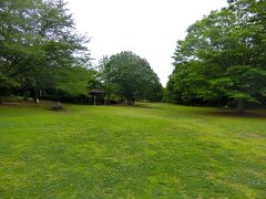 5分程度で香澄公園。木々が多くて良い雰囲気。