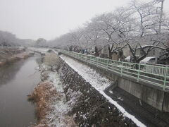3か月余り後には、ここで平成最後の名古屋の桜を眺めることになる…。