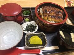 夕食はおとうさんと合流。名古屋きたらひつまぶし食べないとね。めっちゃおいしかったです。
オアシス21くらいから名古屋駅まで徒歩で散策。本日約28500歩、歩きました。