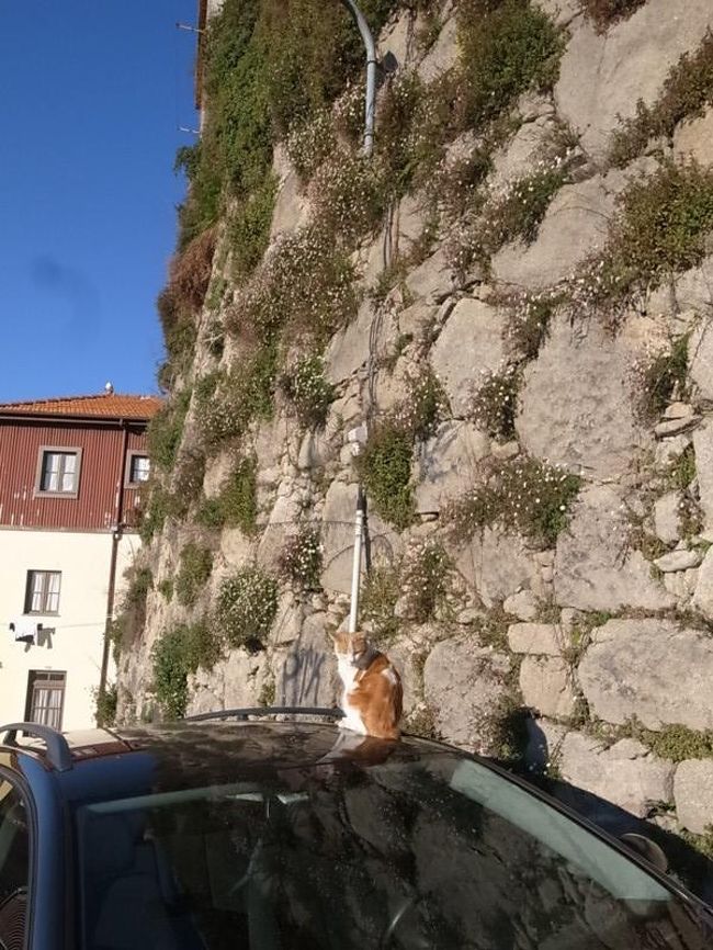 ポルトからリスボンへ戻ります。