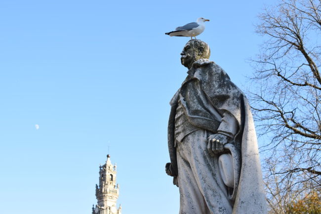 かわいそうな銅像<br />とりのうんちまみれ・・・・