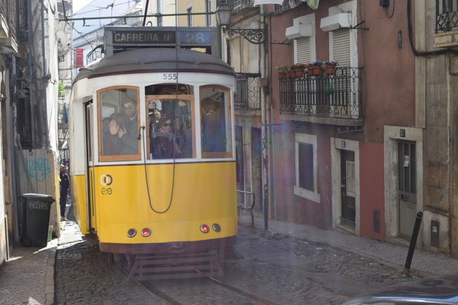 28番は観光客でぱんぱん