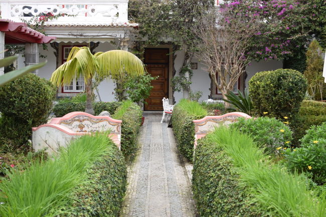 お金持ちのお家。