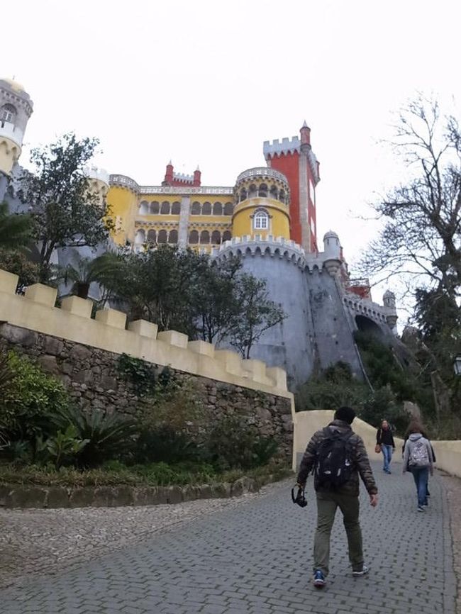 オリジナルの色だそうです。