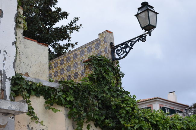 お金持ちのリゾート地だそうです