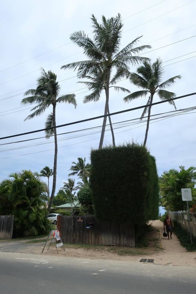 近くのラニカイビーチへ行ってみることにしました。<br />路上に車を停めて、ビーチへ。