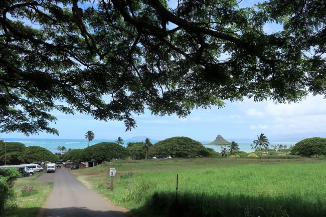 森から見える海も綺麗だ。