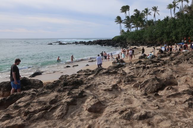 やって来たのはラニアケア・ビーチ。<br />小さなビーチにたくさん人が集まっている。