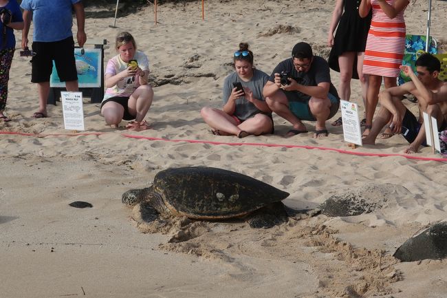 まぁ、結構近距離で見れるんだけどね。