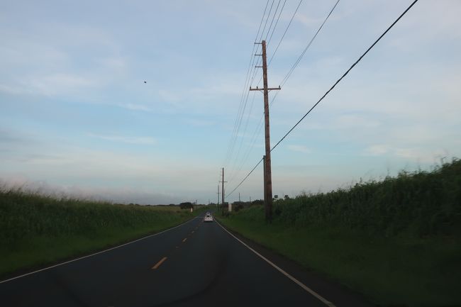 あとはホノルル市街へ帰るのみ。<br />サトウキビ畑の中をひた走ります。<br />走ること1時間、、、