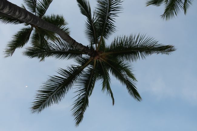 空はまだ明るくないけれど、、、