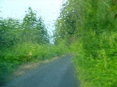 リベイラスからピコ島南岸をER１号線でさらに西走。

サン・カエタノとサン・マテアスの間からピコ山へと上って行く脇道に突入。
ピコ山は雲に隠れることの多い山。
途中何度も通り雨に出遭いました。
その余波を受けて、麓でも天候は変わりやすい点にご注意を。

道幅は狭くなりますが、最初は簡単な舗装も出来ていて、普通車でも問題無し。
ピコ山へと上って行くこんな感じの道は多数ありますが、東麓から上って行く道はほとんど無いので要注意。

この道筋の両脇には…、