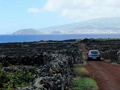 この旅行記の出だしでちょっとご紹介したように、ピコ島には2004年に世界遺産になった≪ピコ島のブドウ畑文化の景観≫があります。

この朝Calheta de Nesquim村で見たブドウ畑は斜面にあるため規模の小さい物でしたが、ファイアル島が間近に見られるピコ島の西側にはなだらかな溶岩原が広がっていて、火山岩を積みあげた石垣で区切られたブドウ畑が延々と続いています。

この画像のブドウ畑はピコ島で一番大きな町マダレナの南郊の物ですが、このほかにもピコ島北岸のサン・ロケ・ピコの辺りにも広がっています。

入場料などは無く、この画像のように車でも通れるほどの道もあり。
ところどころ、車を停められるスペースもあって、自分の足でも歩いて行けます。