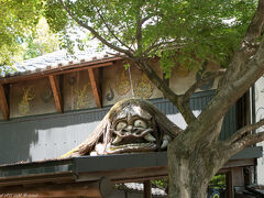 深大寺の観光案内所まで行って・・・。
鬼太郎茶屋の上にいました^^
至る所にお蕎麦屋さんばかり@@;