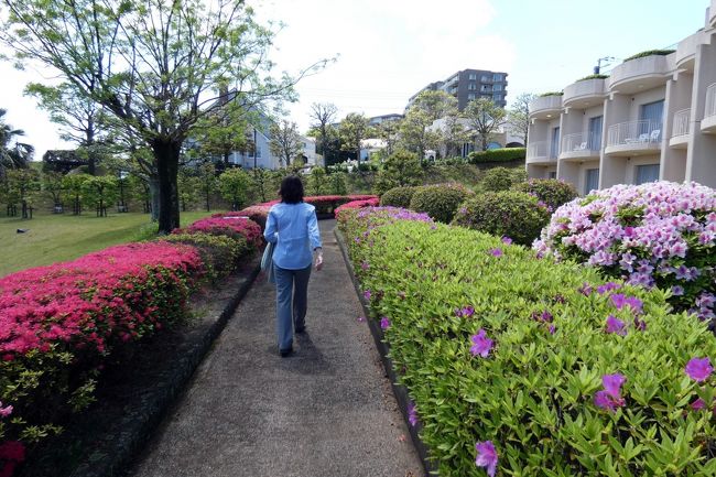 カラフルなつつじが植えられた歩道