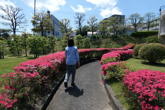 西に向かって歩きます